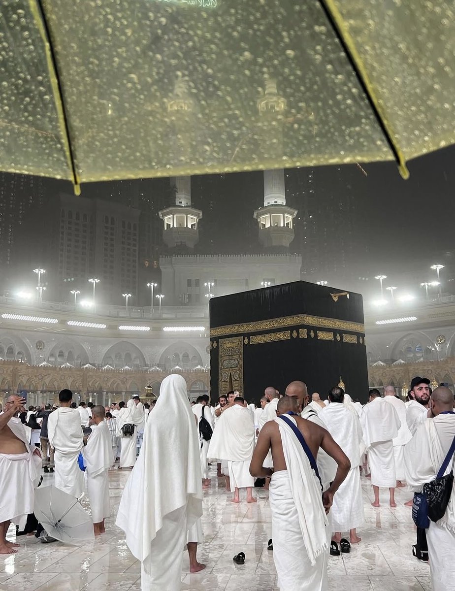Saudi Beauty tweet media