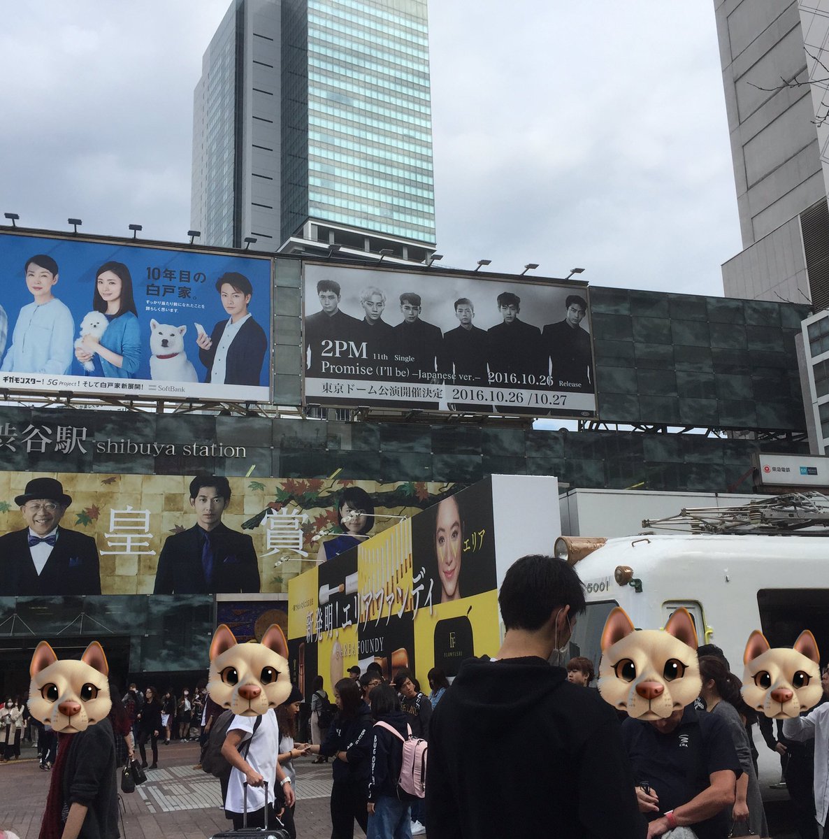 グリーングリーン tweet media