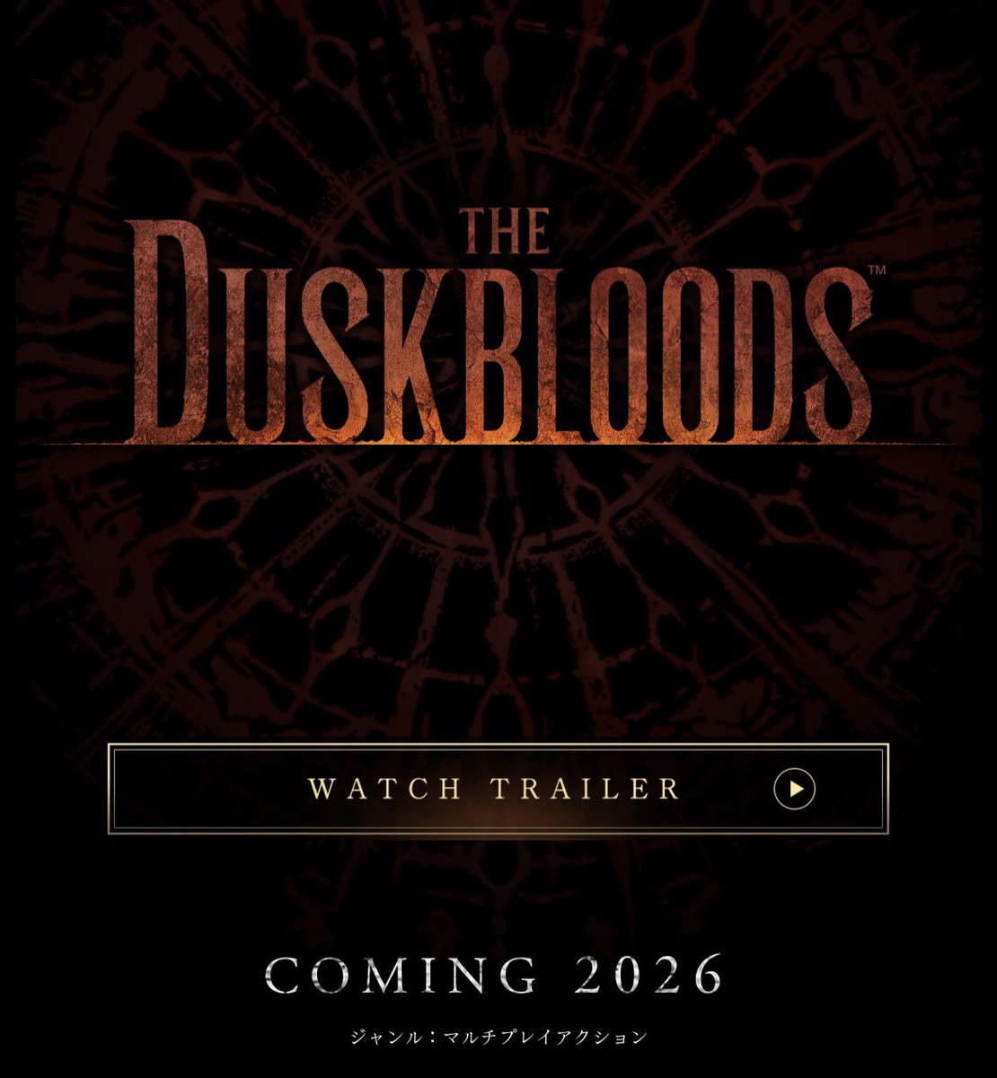 Fighter.PL tweet media