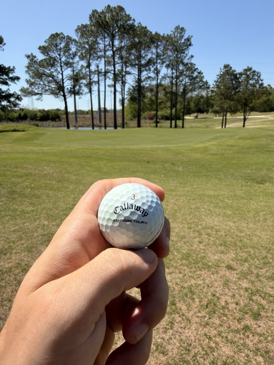 Rooster Romano tweet media