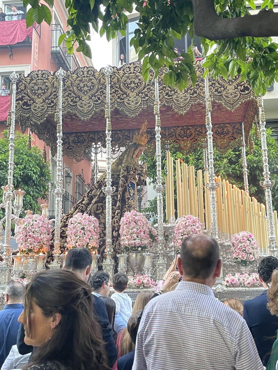 tucofradetrianero tweet media