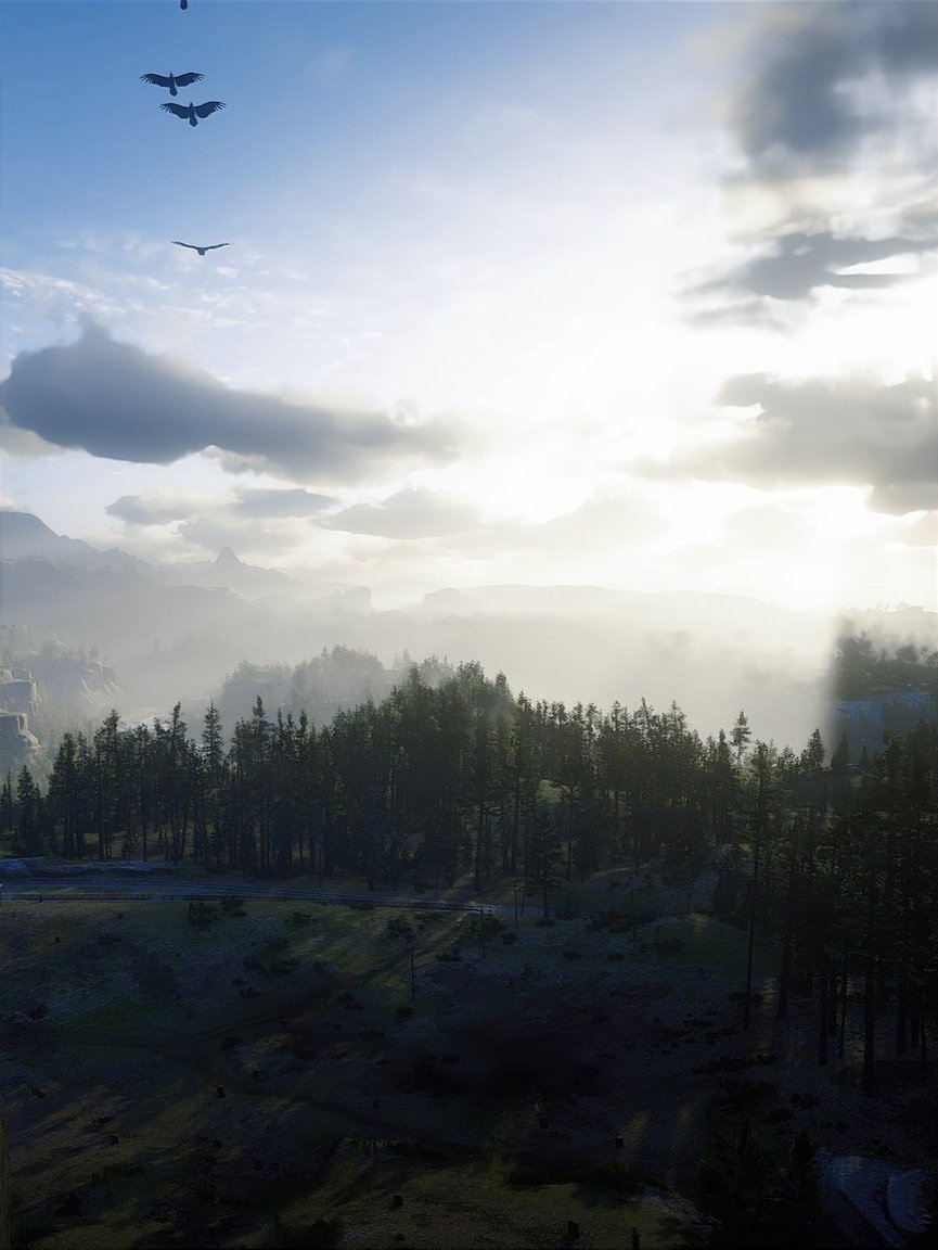 Video Games Wallpapers tweet media