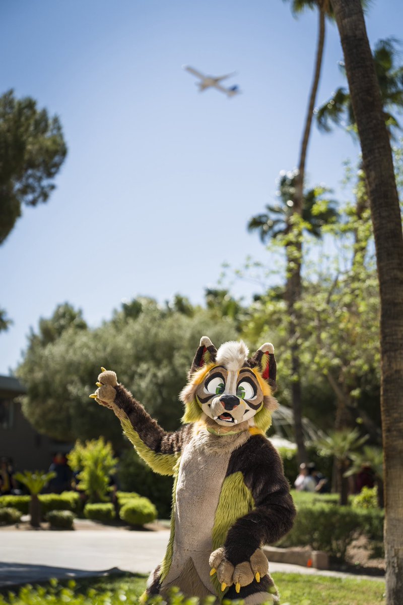 Dire Walf tweet media