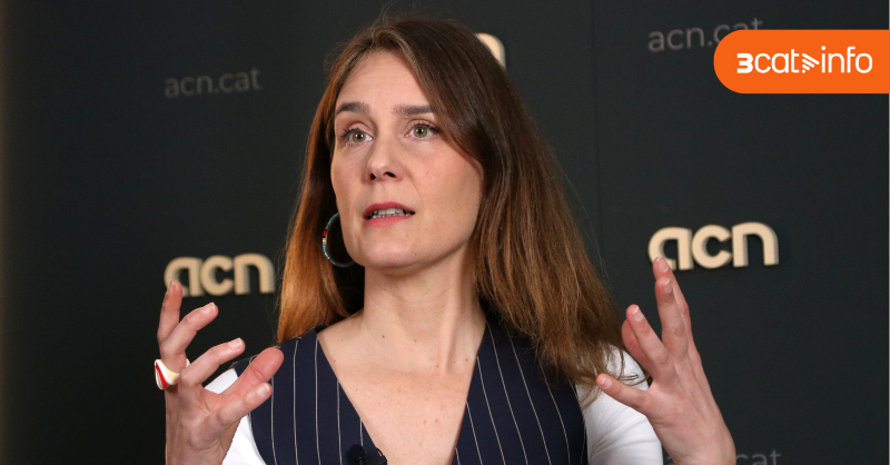 3CatInfo tweet media