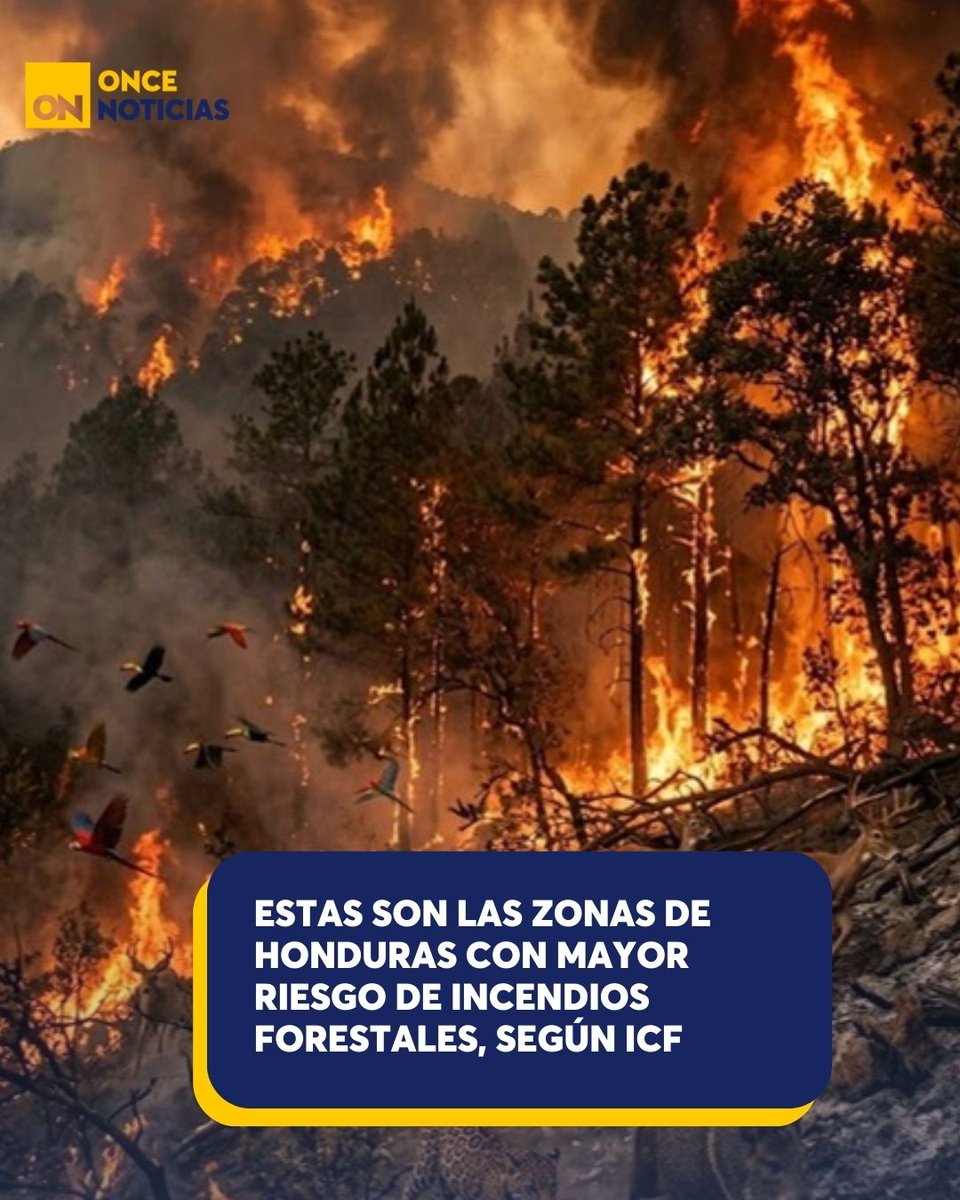 11_Noticias's tweet photo. 🟡| ¿Qué lugares son?🔥 Autoridades advierten sobre las zonas de Honduras con mayor riesgo de incendios forestales durante la temporada seca.
Descúbrelo aquí: https://t.co/VPkb5rVohd
#Incendios #Honduras #ICF #Boques #Quemas https://t.co/aFxExuBtJc