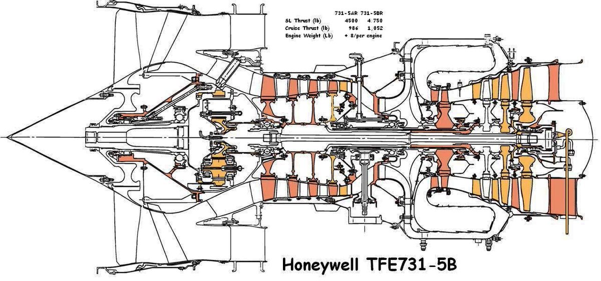 Phoenix𝕏 tweet media