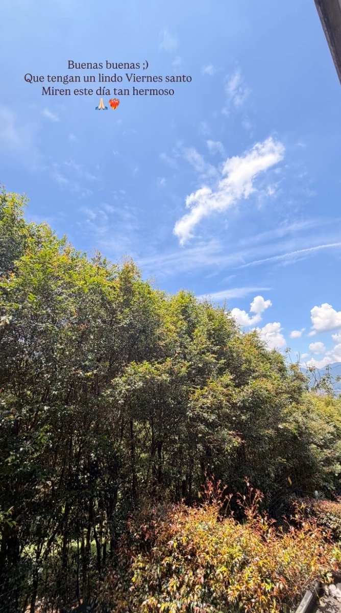 Milena Sánchez 🐥 tweet media