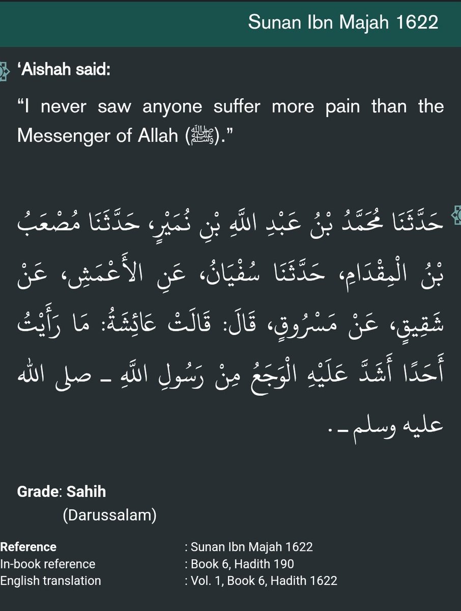 Realfemi tweet media