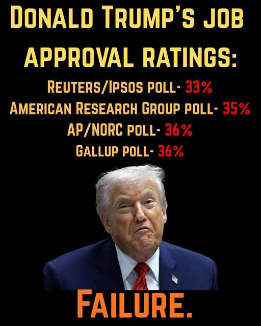 Iris Friesen tweet media