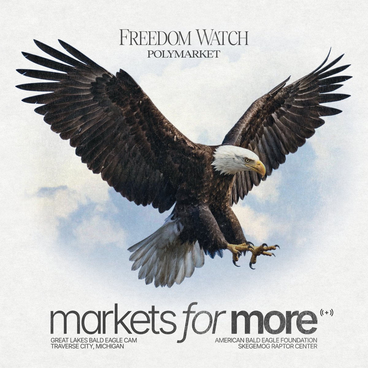 Polymarket tweet media