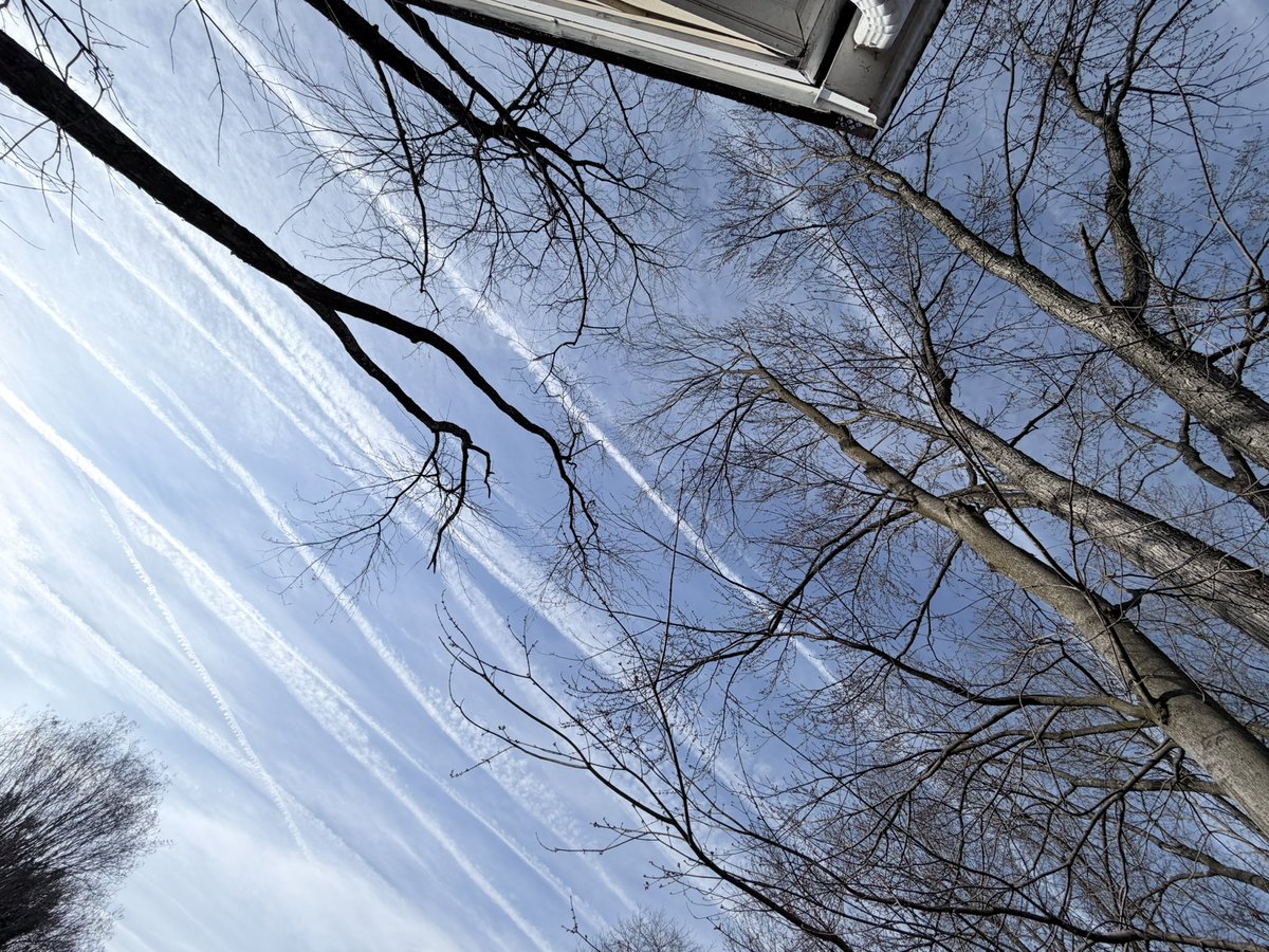 Life-is-a-Lyric tweet media