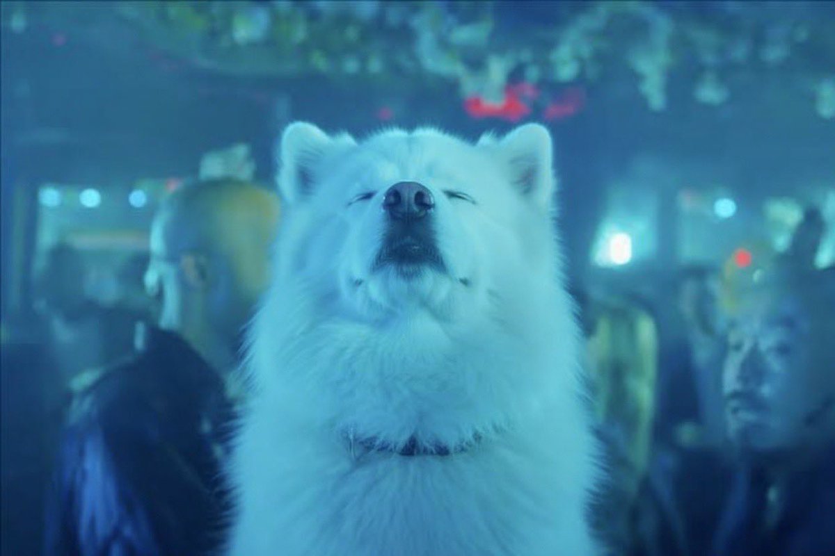 EthHoarder 🐷 🟪 tweet media