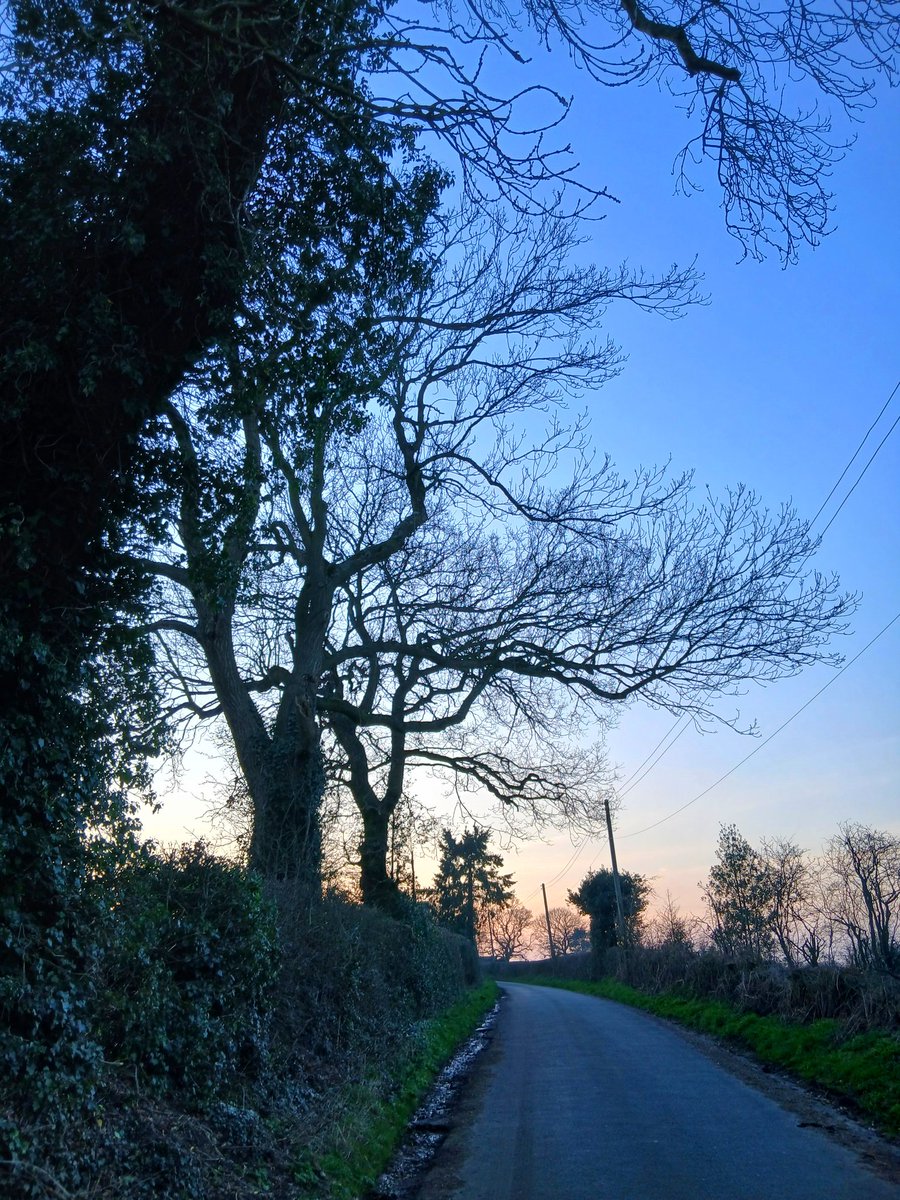 🌷🪻 Jenny 🐕‍🦺💕 tweet media