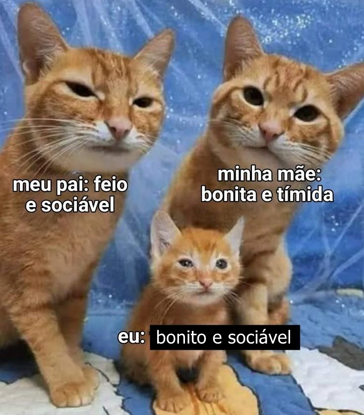 Página Séria. tweet media