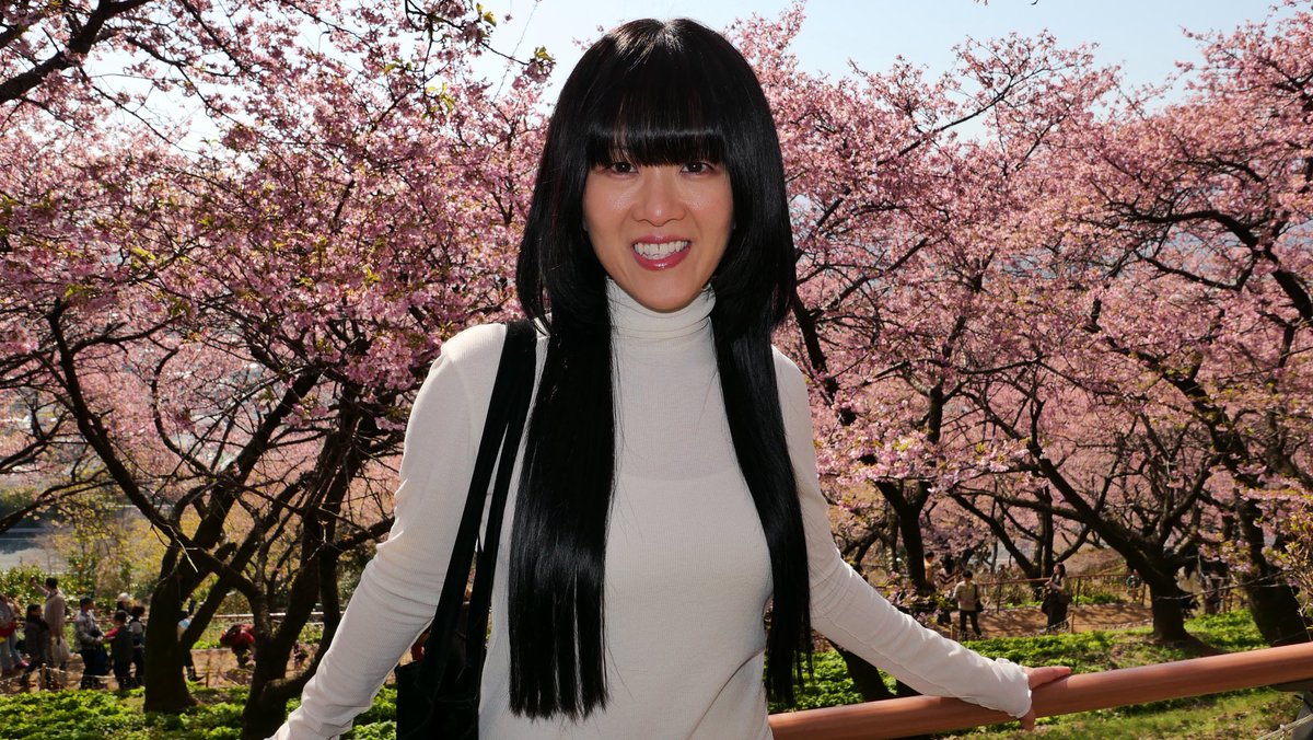 🌸NintendoCade Evelyn🌸 tweet media