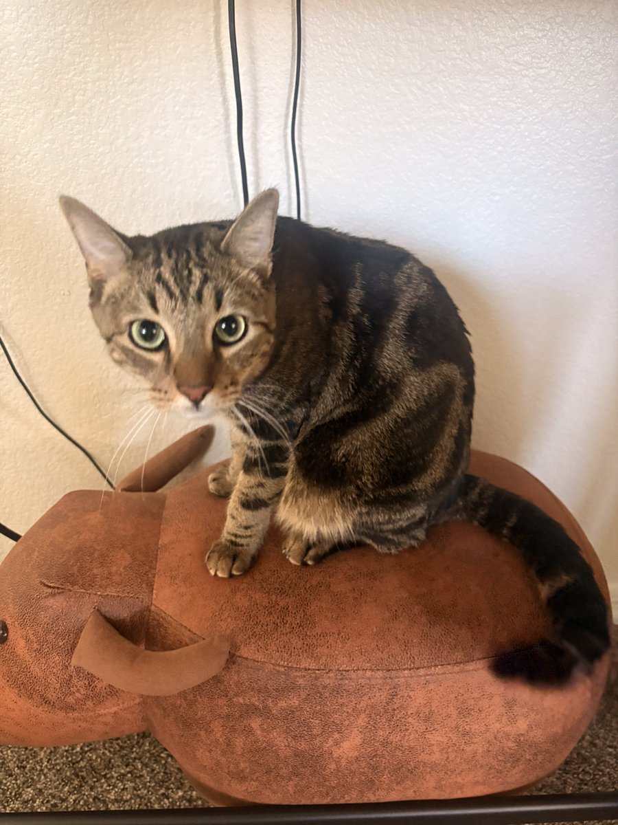 jessi ★ tweet media