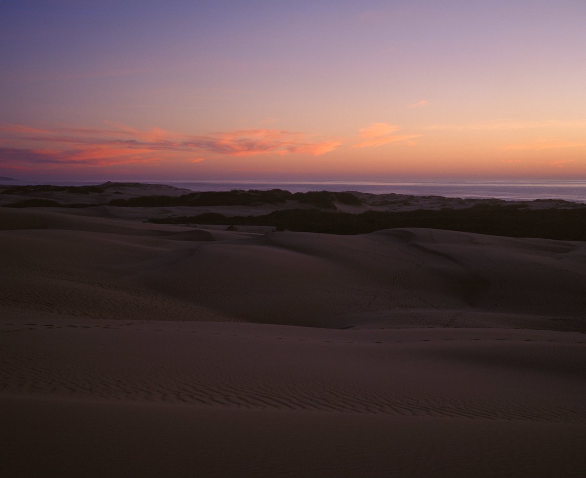 Ryan Warner tweet media