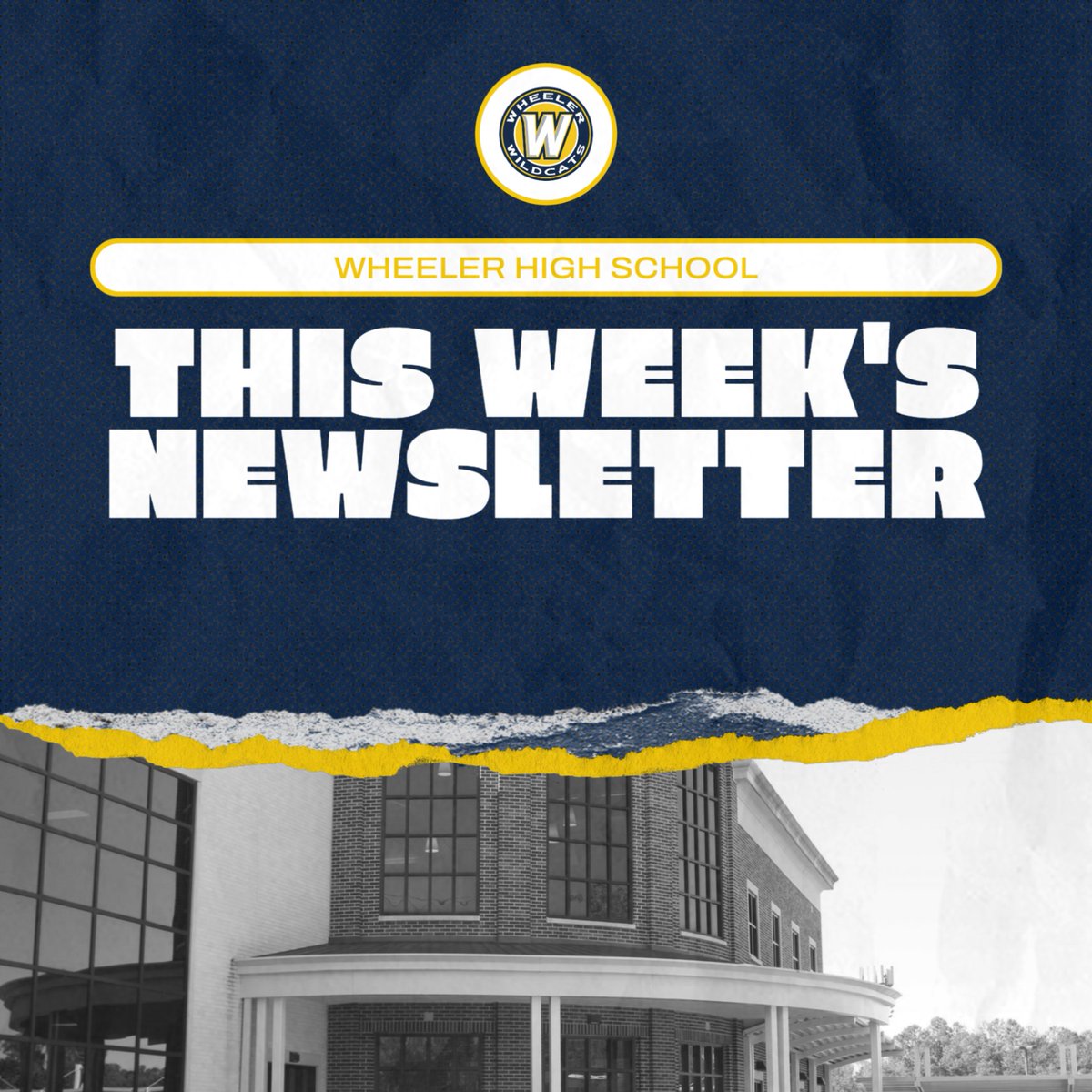 Sara Fetterman tweet media