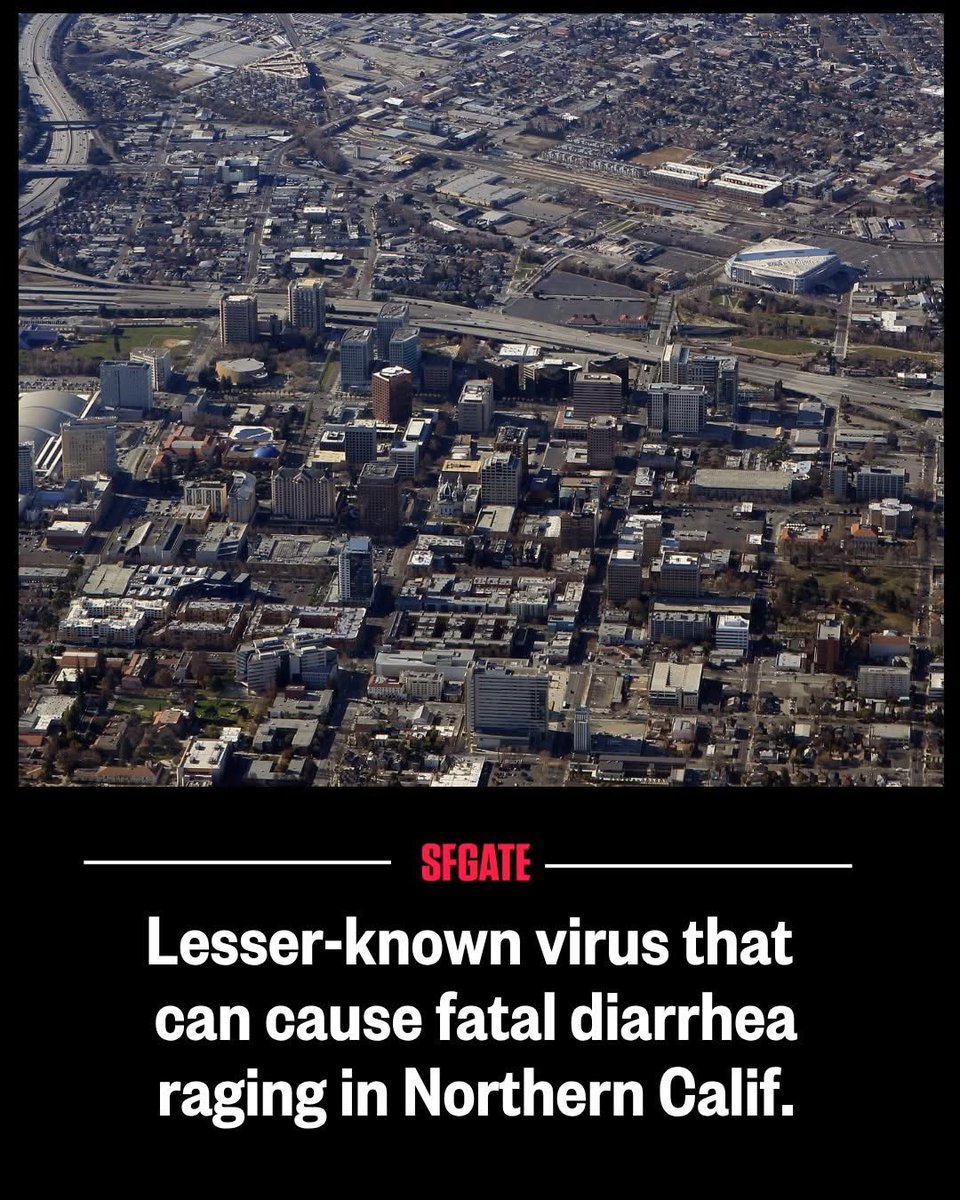 Shannon Hill tweet media