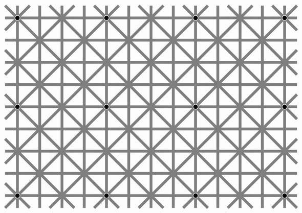 Z李 🇺🇦 NO WAR 🕊 tweet media