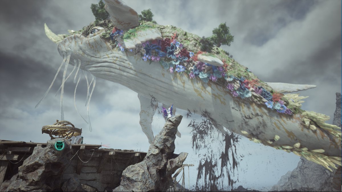 リズエル tweet media