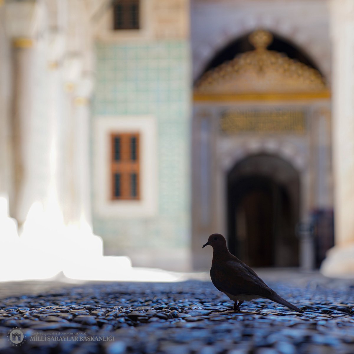Topkapı Sarayı’nın Harem-i Hümayun girişinden Karaağalar Taşlığı’nın görünümü…