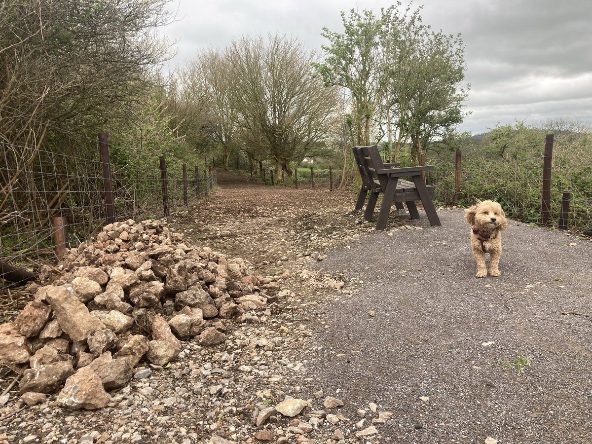 The Strawberry Line tweet media