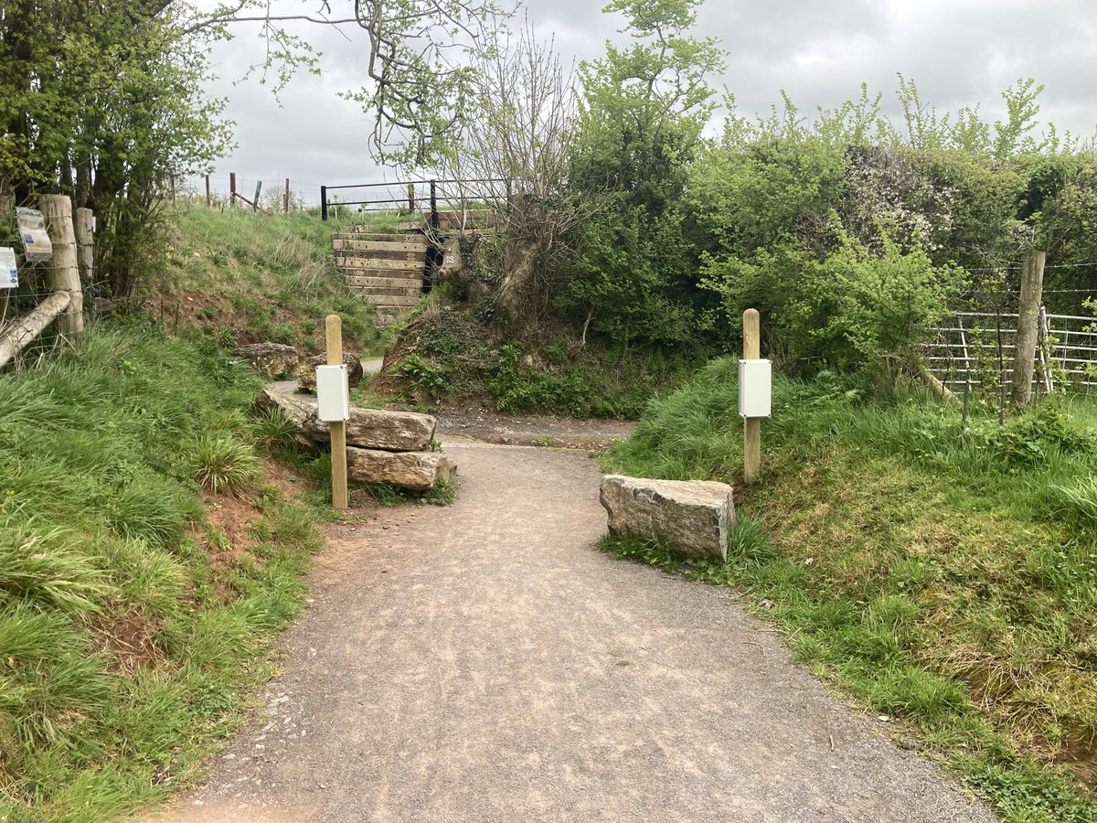 The Strawberry Line tweet media