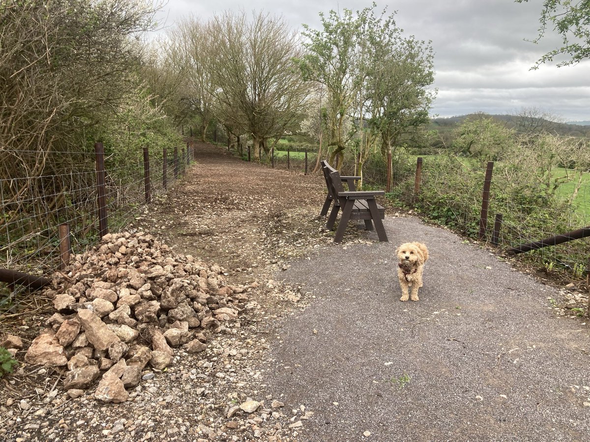 The Strawberry Line tweet media