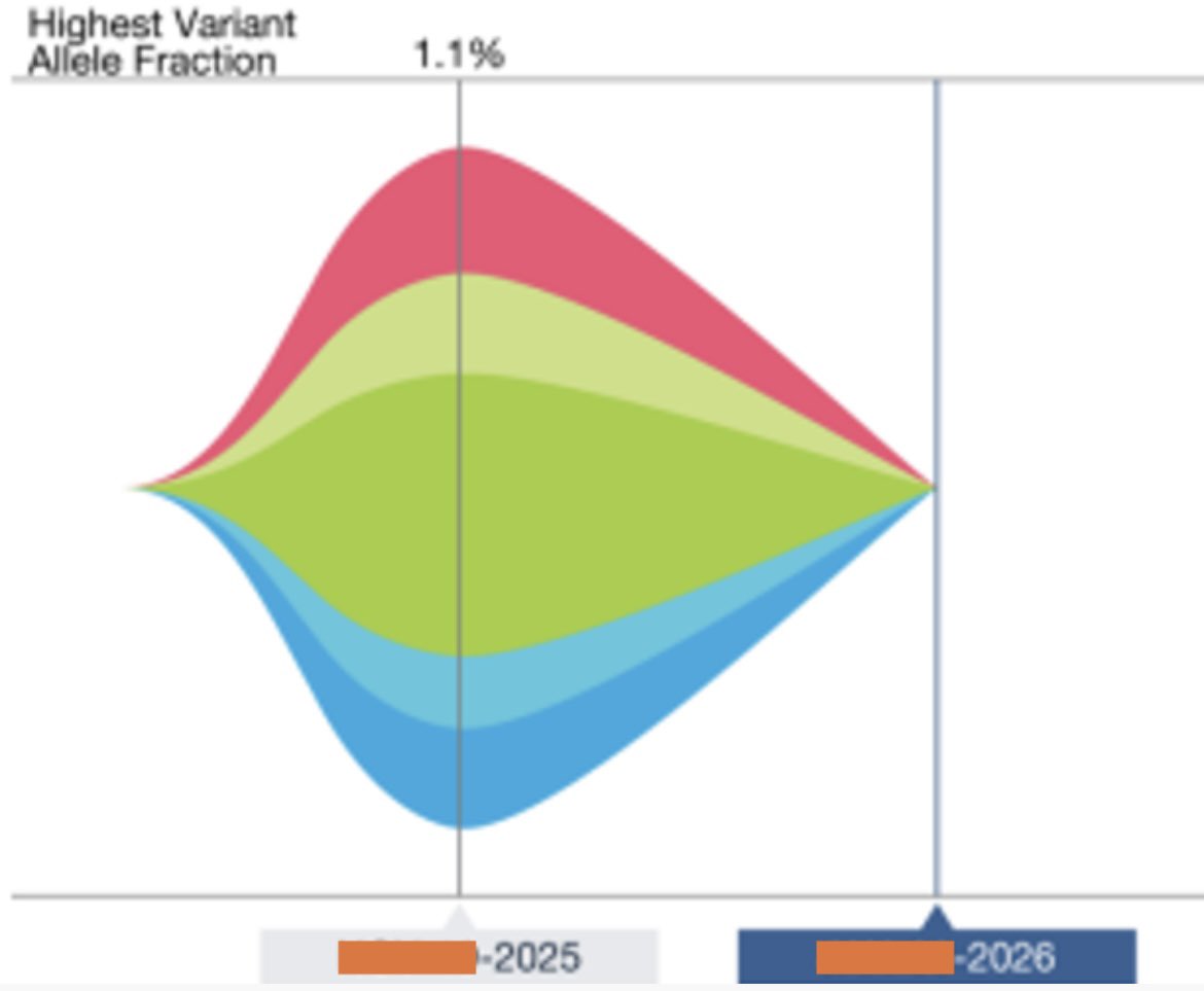 Balazs Halmos tweet media