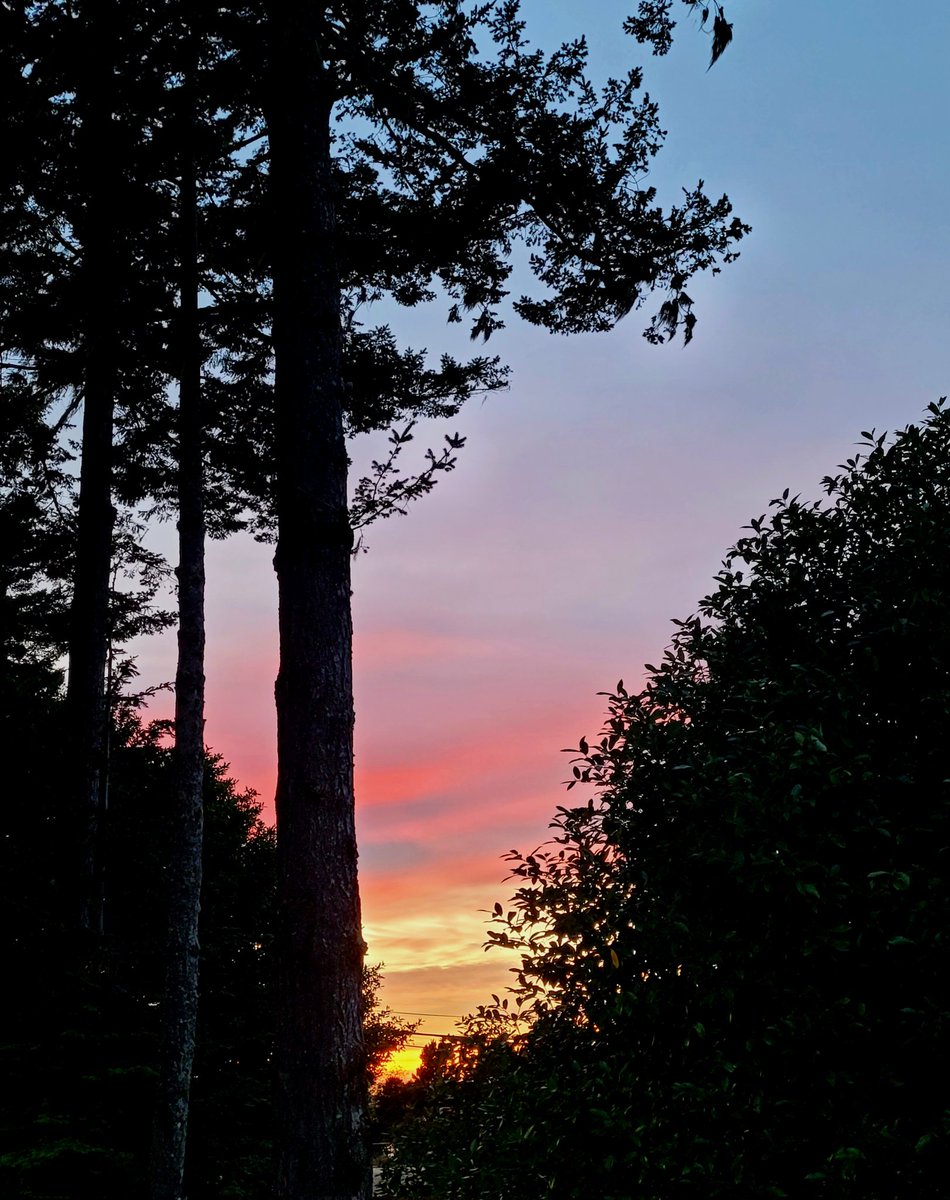 "Truly I say to you,today, you will be with me in Paradise"  Luke 23: 43