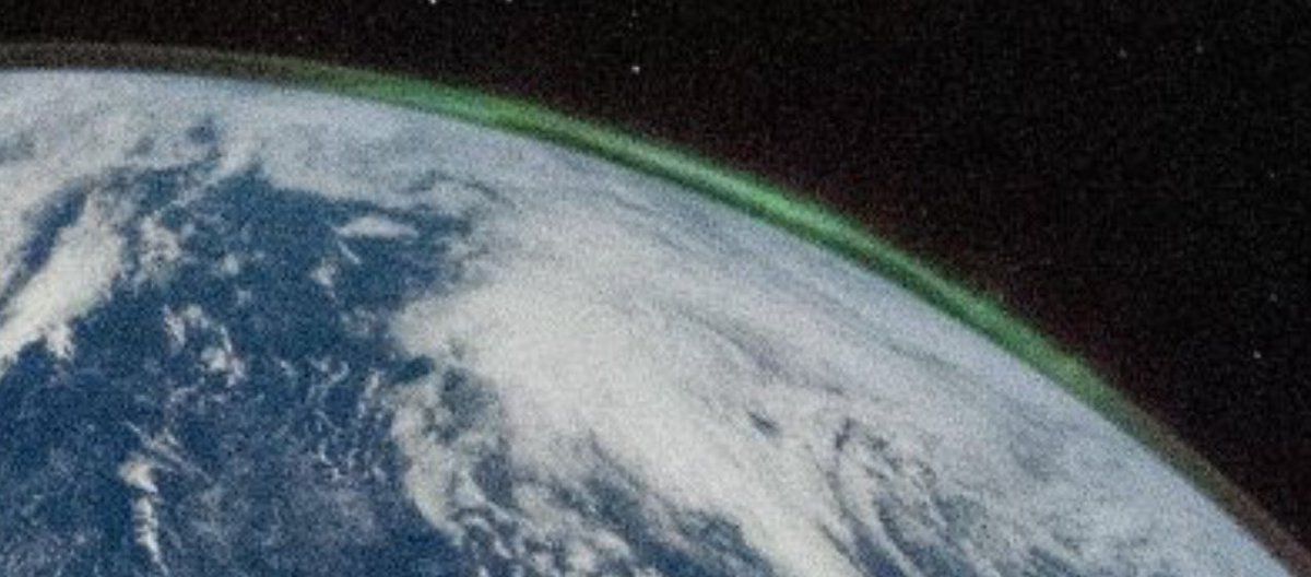 Greg Sully tweet media