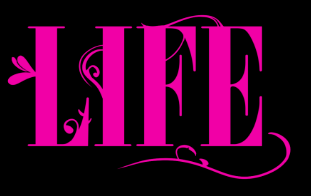 mightyraptor tweet media