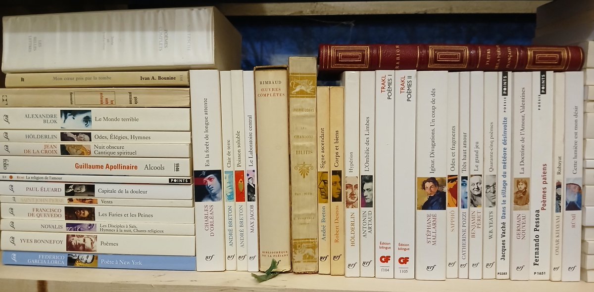 LeTamanoir tweet media