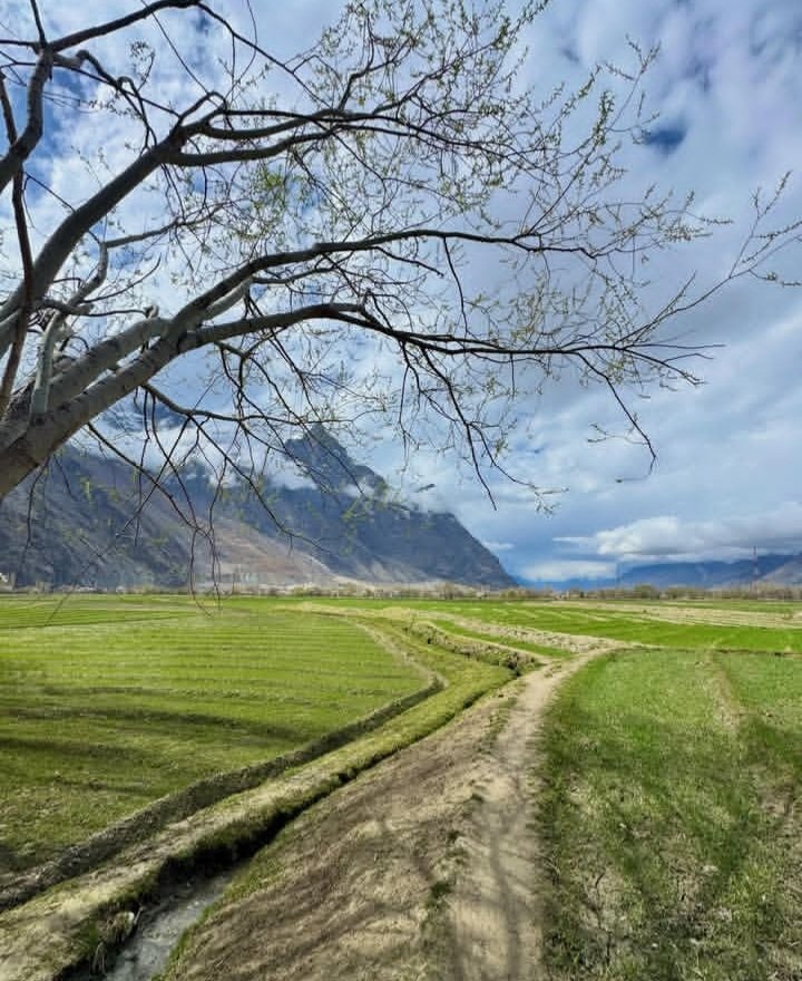 MananHnz's tweet image. Mountains peace &amp;amp; me 🏔️ ✌️ 

#Skardu  #GilgitBaltistan