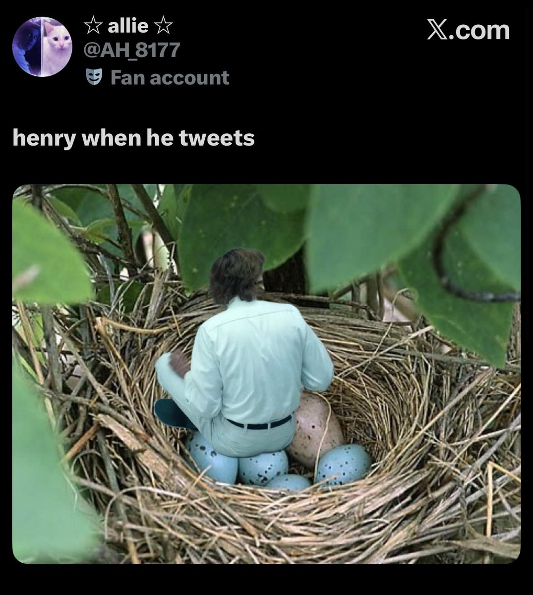 jamietwt struggles tweet media