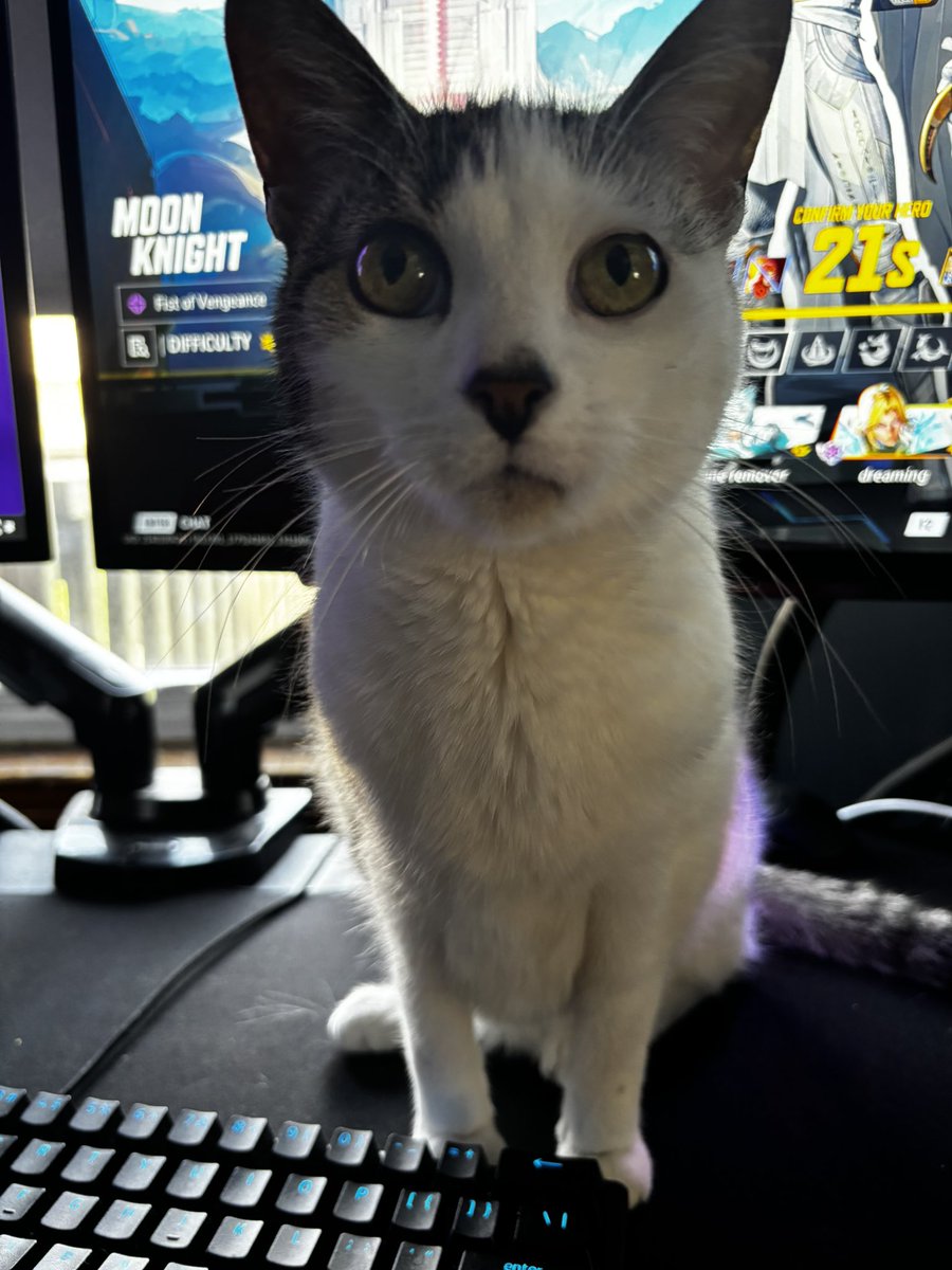 •°*”˜  tweet media