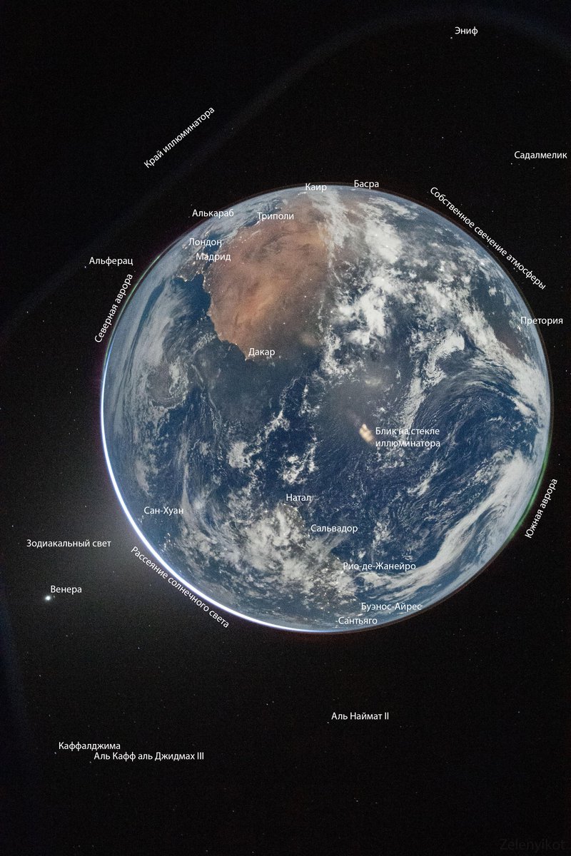 Zelenyikot tweet media