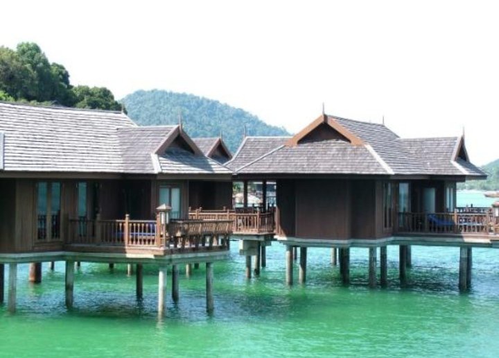 ميار tweet media