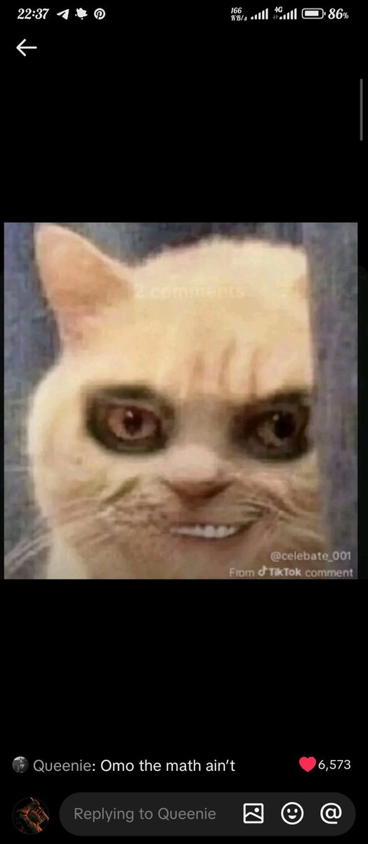 Dboydatrest tweet media