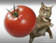 always_a_failure tweet media