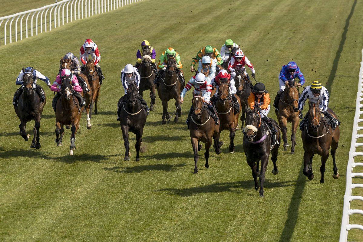 The Bookies Nightmare tweet media