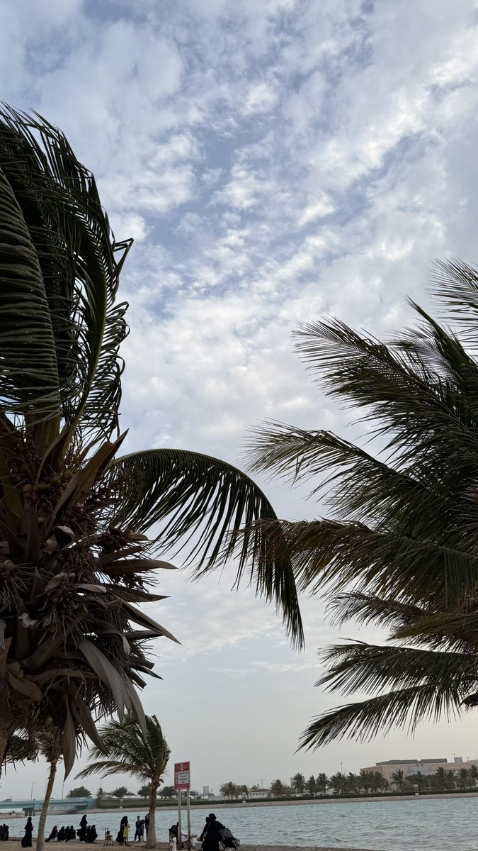 شُعلة tweet media