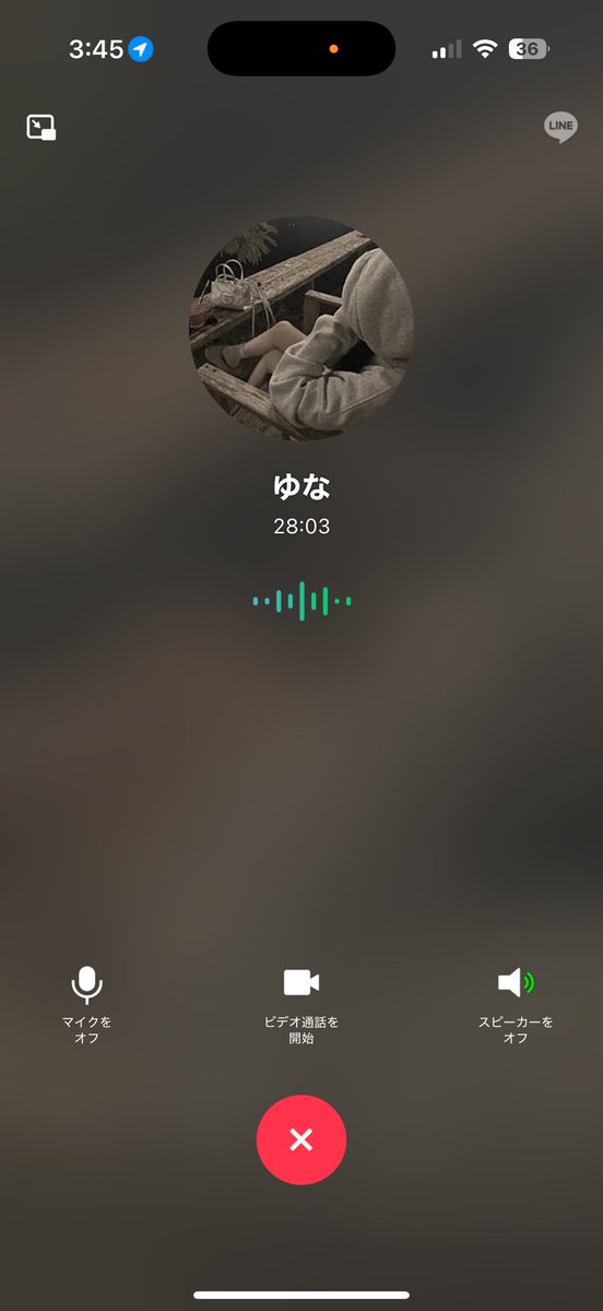 こねこ tweet media