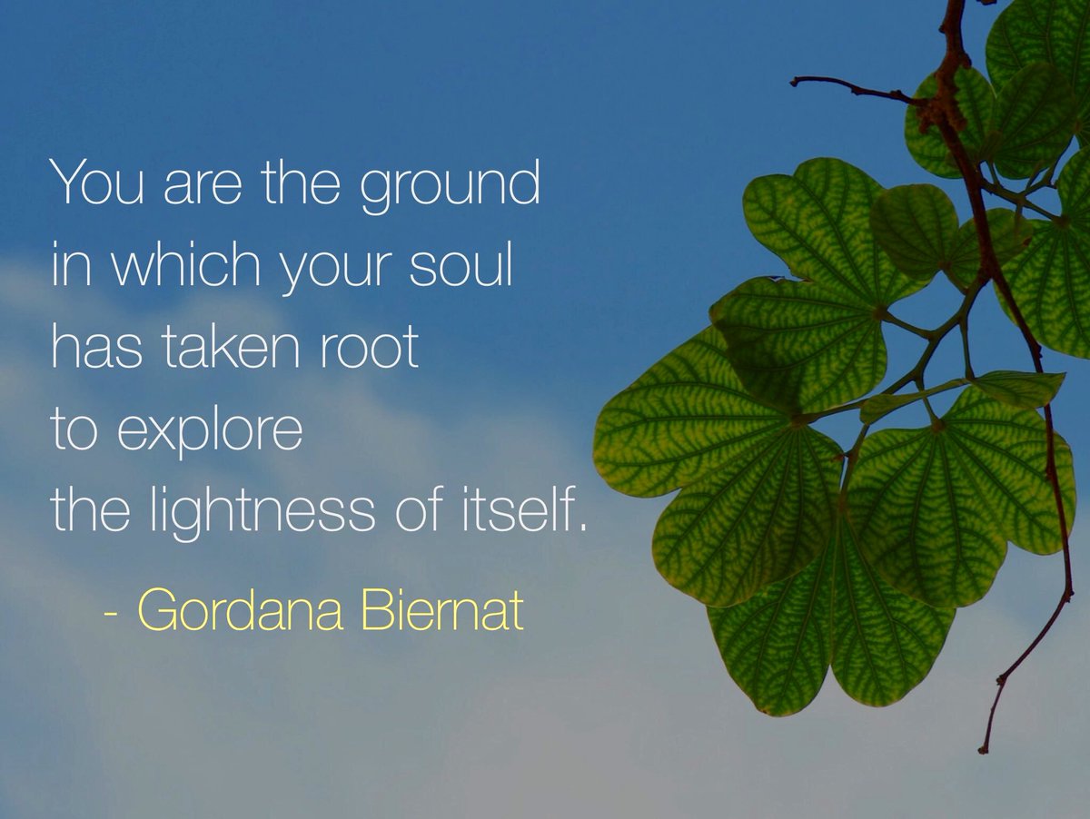 Gordana Biernat tweet media