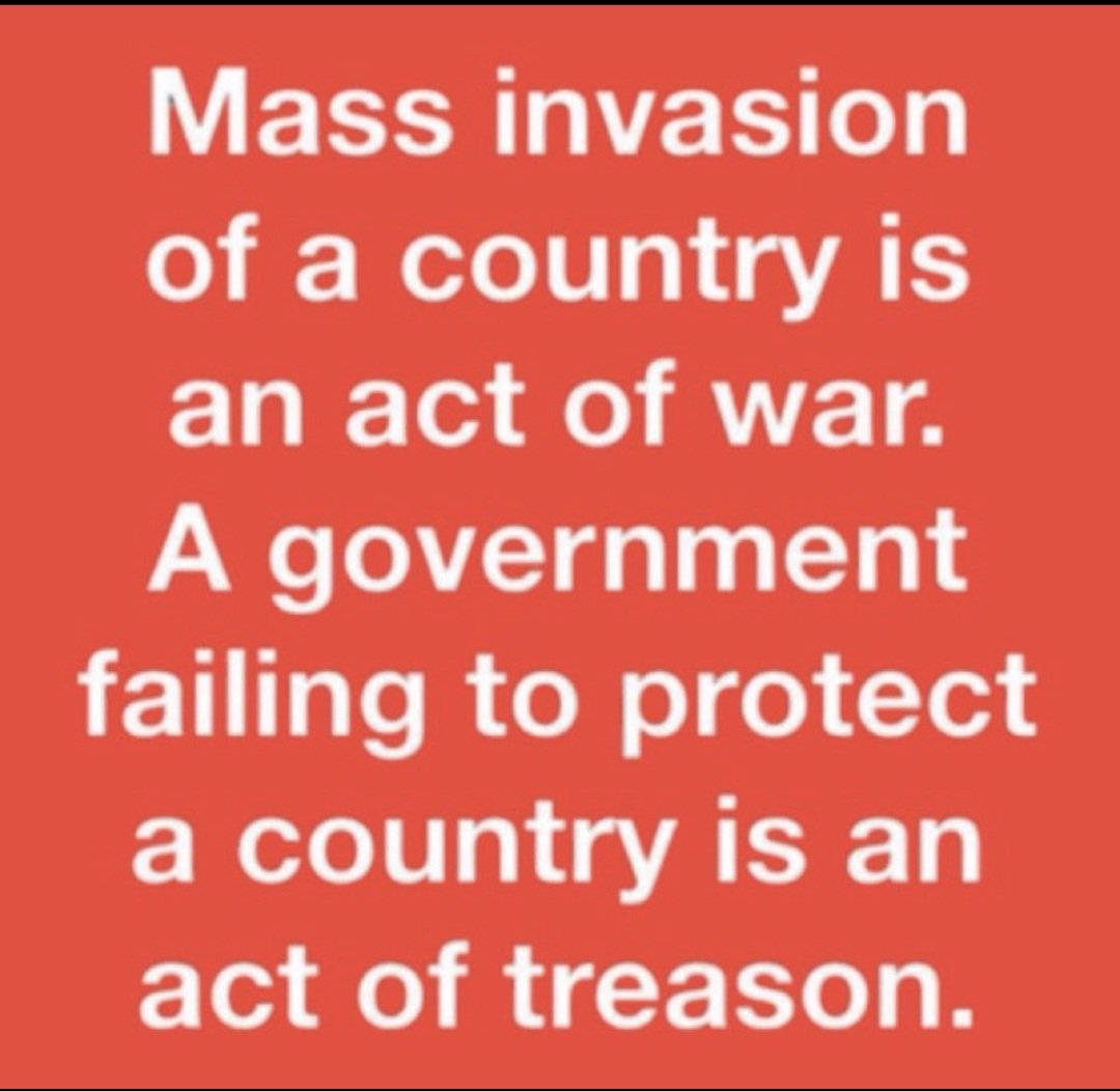 LEE BRITISH PATRIOT. tweet media