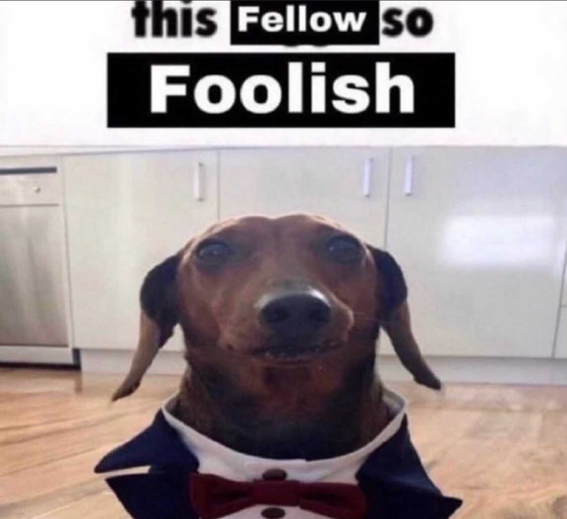 Fr0sted Star tweet media
