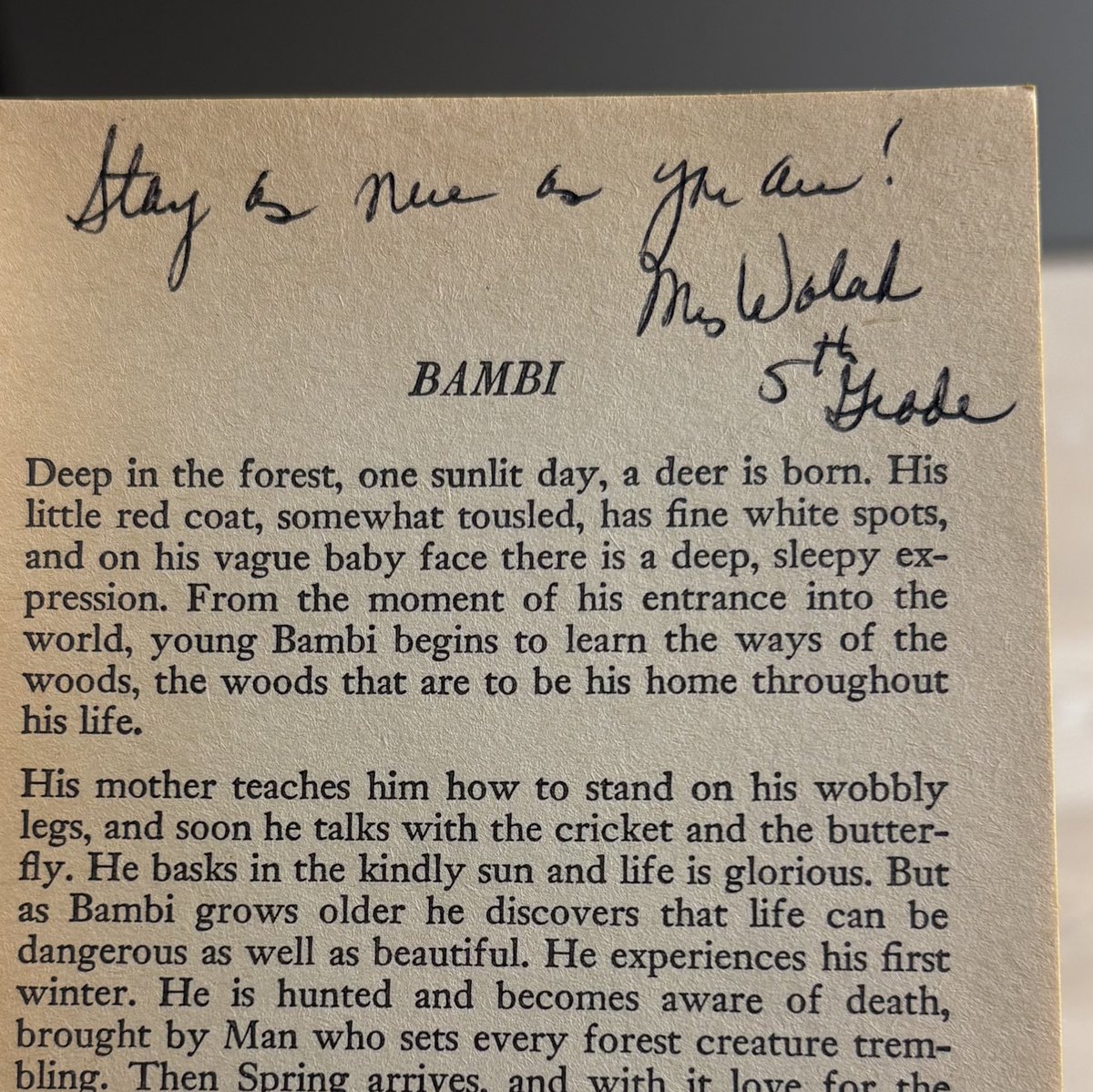 valentine (⃔˄𖦹 ·̫ 𖦹˄)⃕੭ु⁾⁾ ༘ tweet media