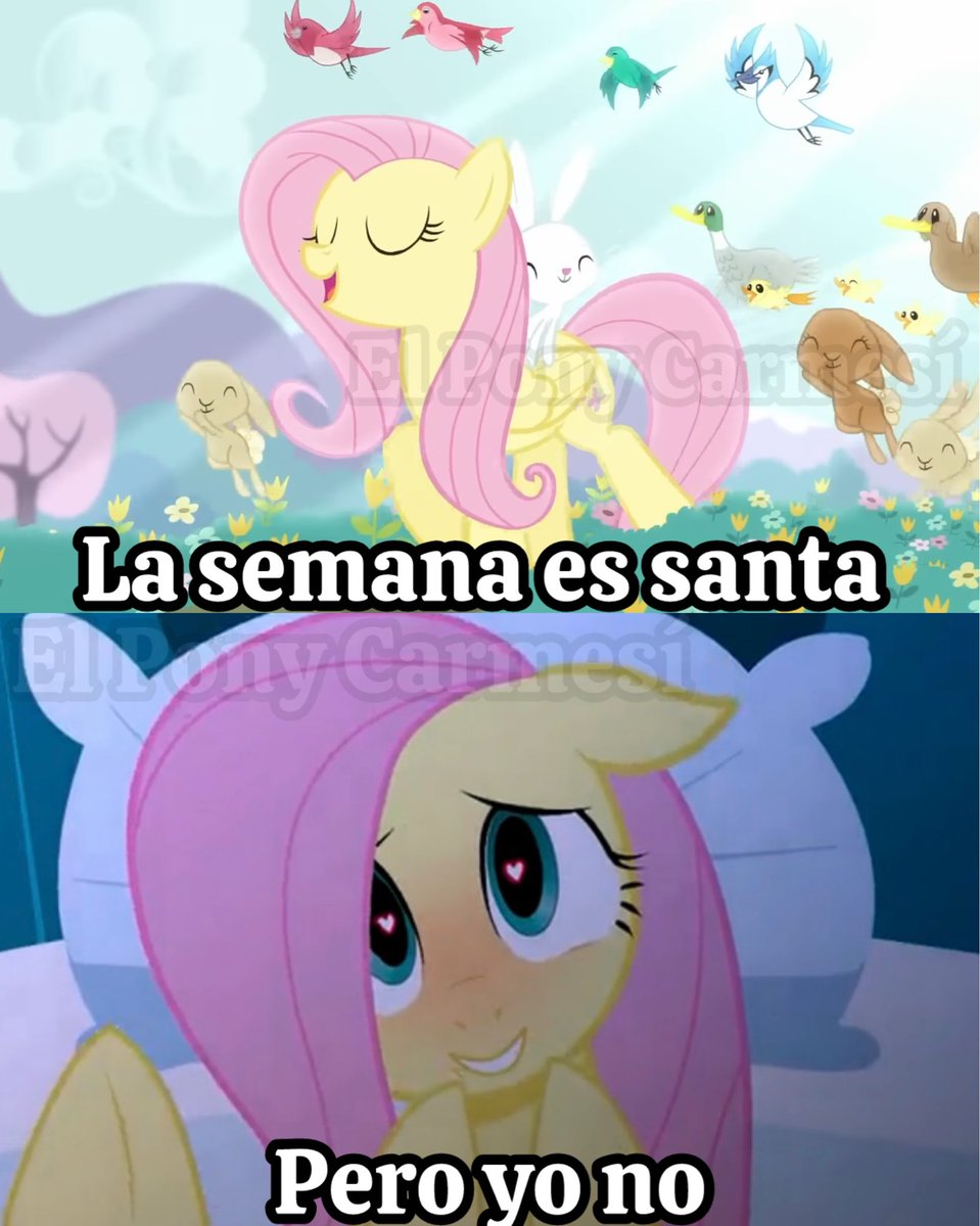 El Pony Carmesí YT tweet media