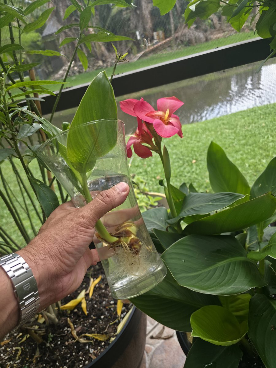 iCkEdMeL ☀🔎🔥 tweet media